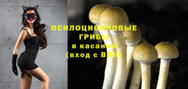 соль курить ск Абаза