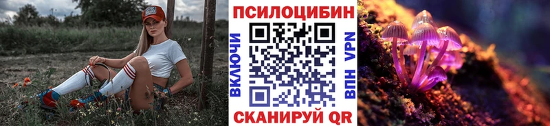 сколько стоит Киров Галлюциногенные грибы Cubensis